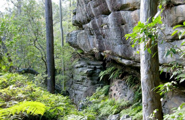 She-Oak Crossing Walk