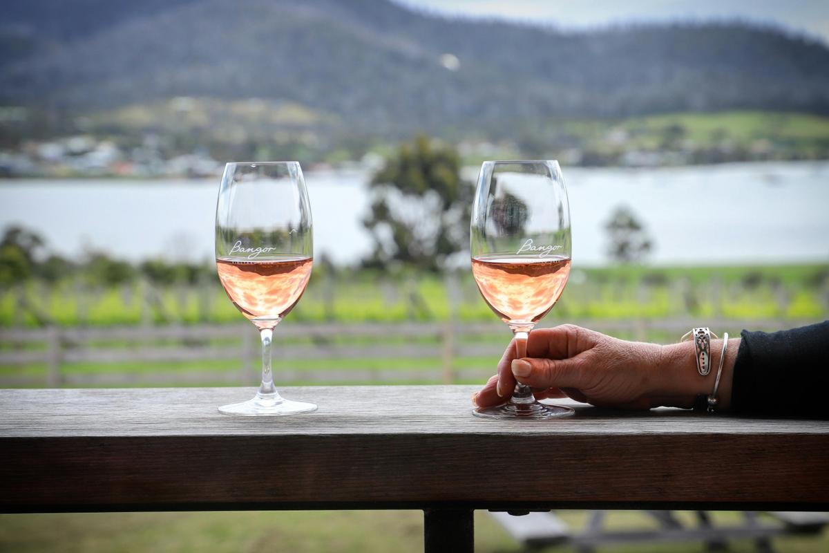 Bangor Vineyard Shed - premium Tasmanian wine with a view.