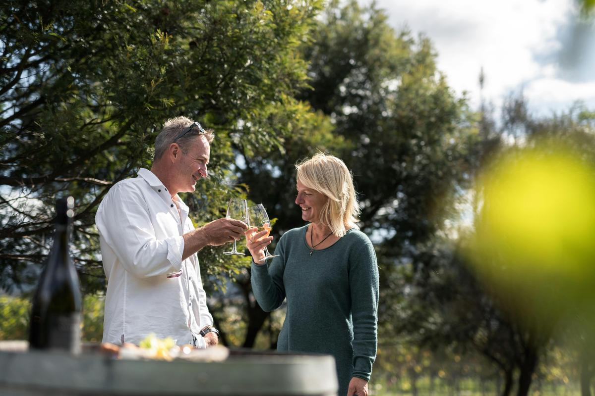 Wine in the Vines Tour