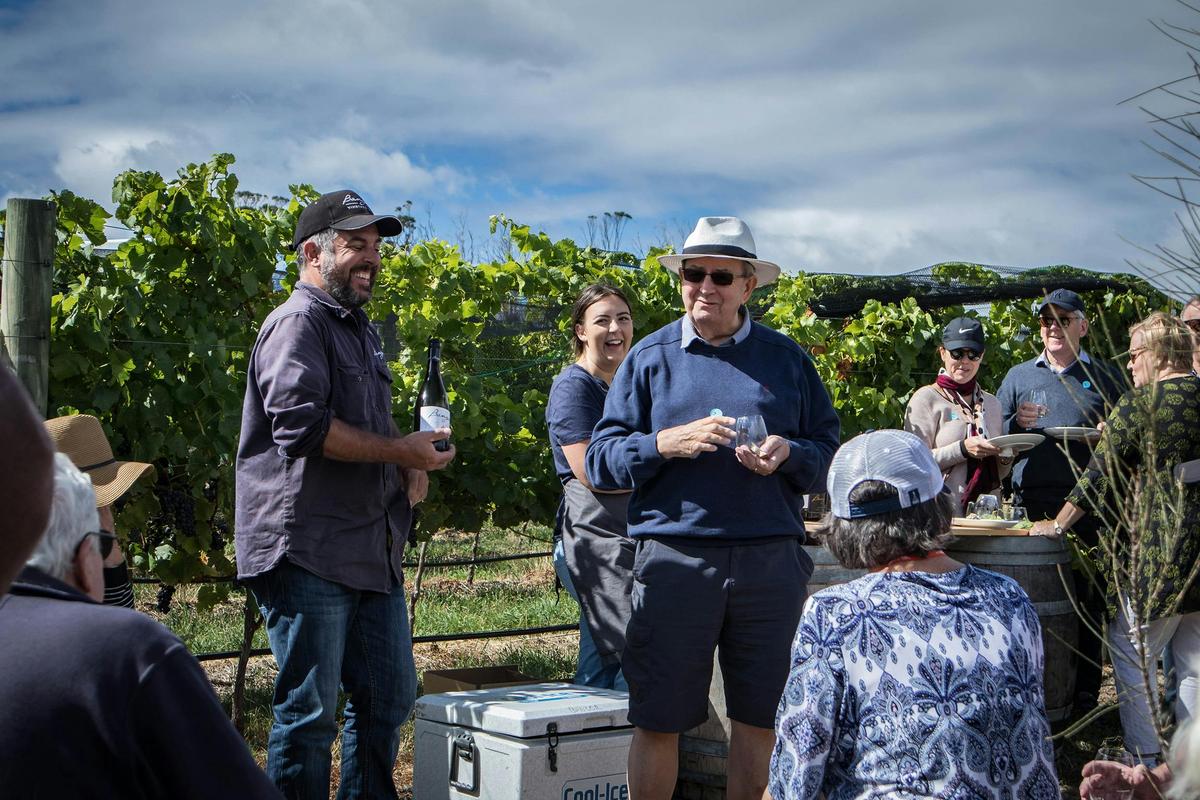 Wine in the Vines - Bangor Vineyard Tour