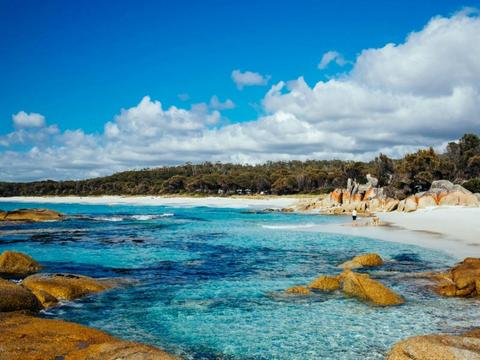 Binalong Bay - Cosy Corner Beach North and South