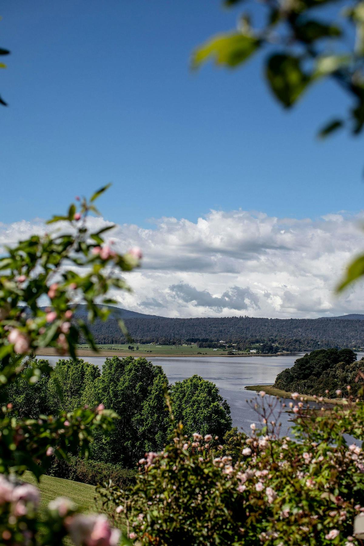 View of the Tamar