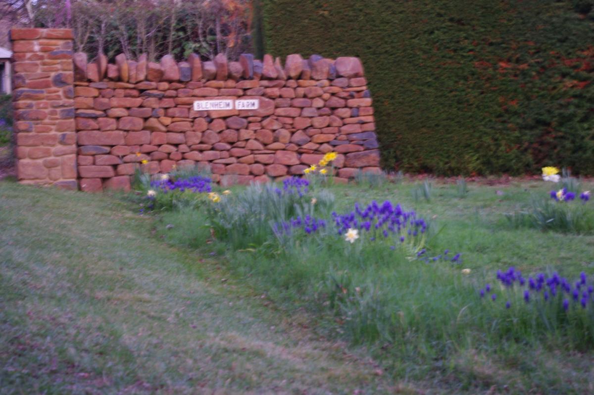Blenheim Gallery and Garden