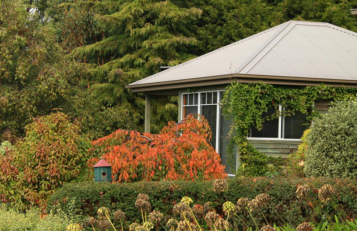 Cove Cottage