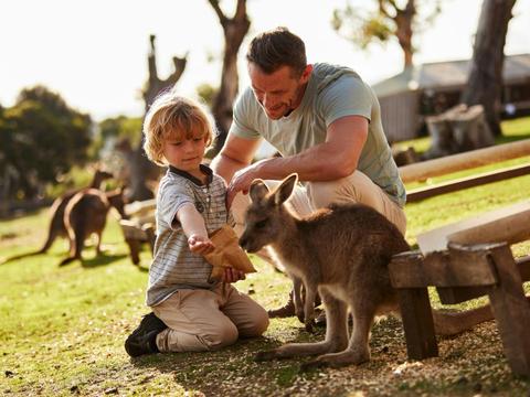 Bite-size after-dark wildlife tour