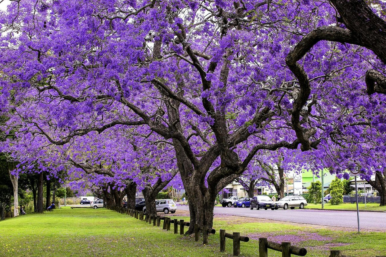 See Park