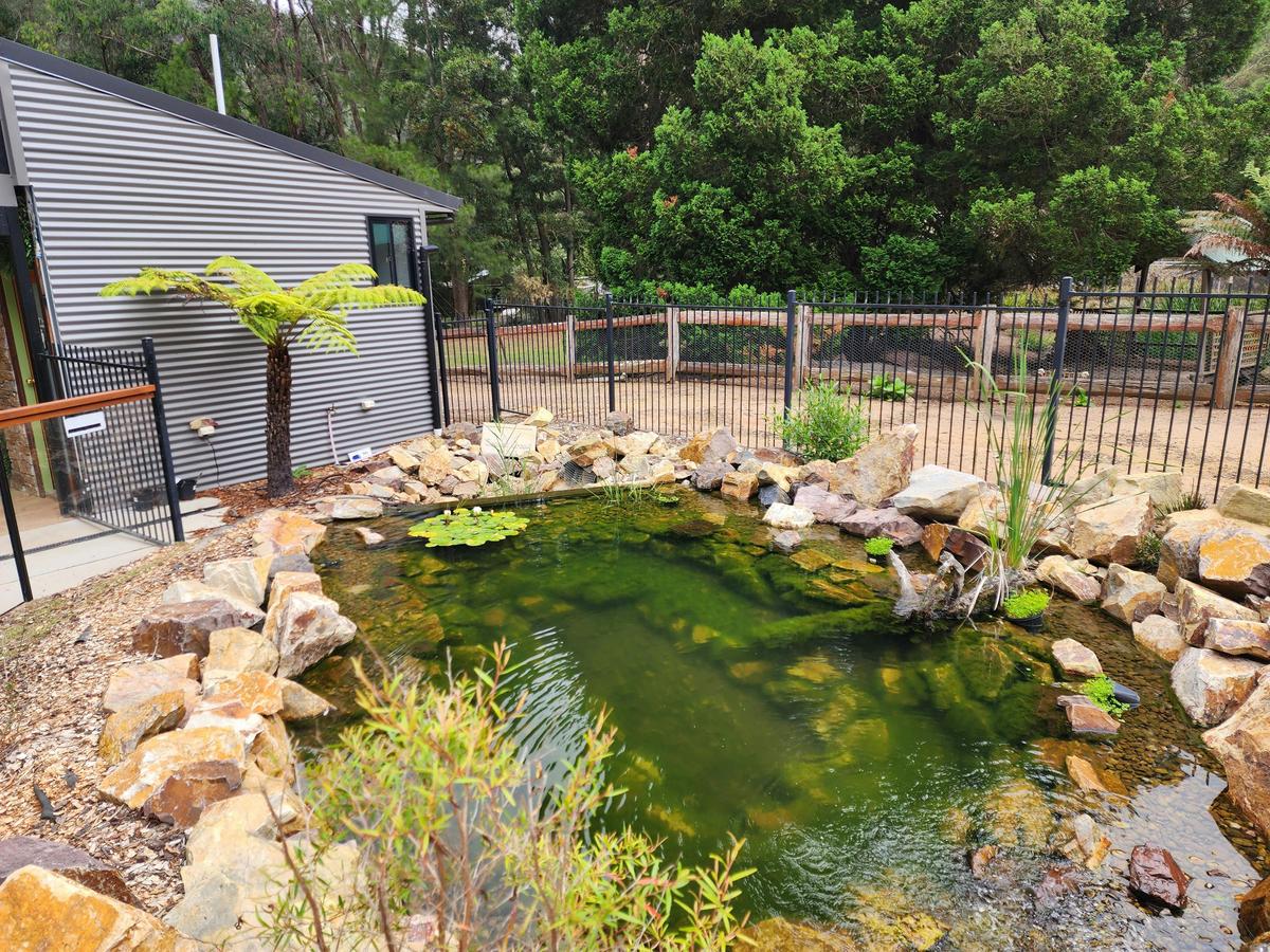Gardens of Stone Visitor Centre native fish pond