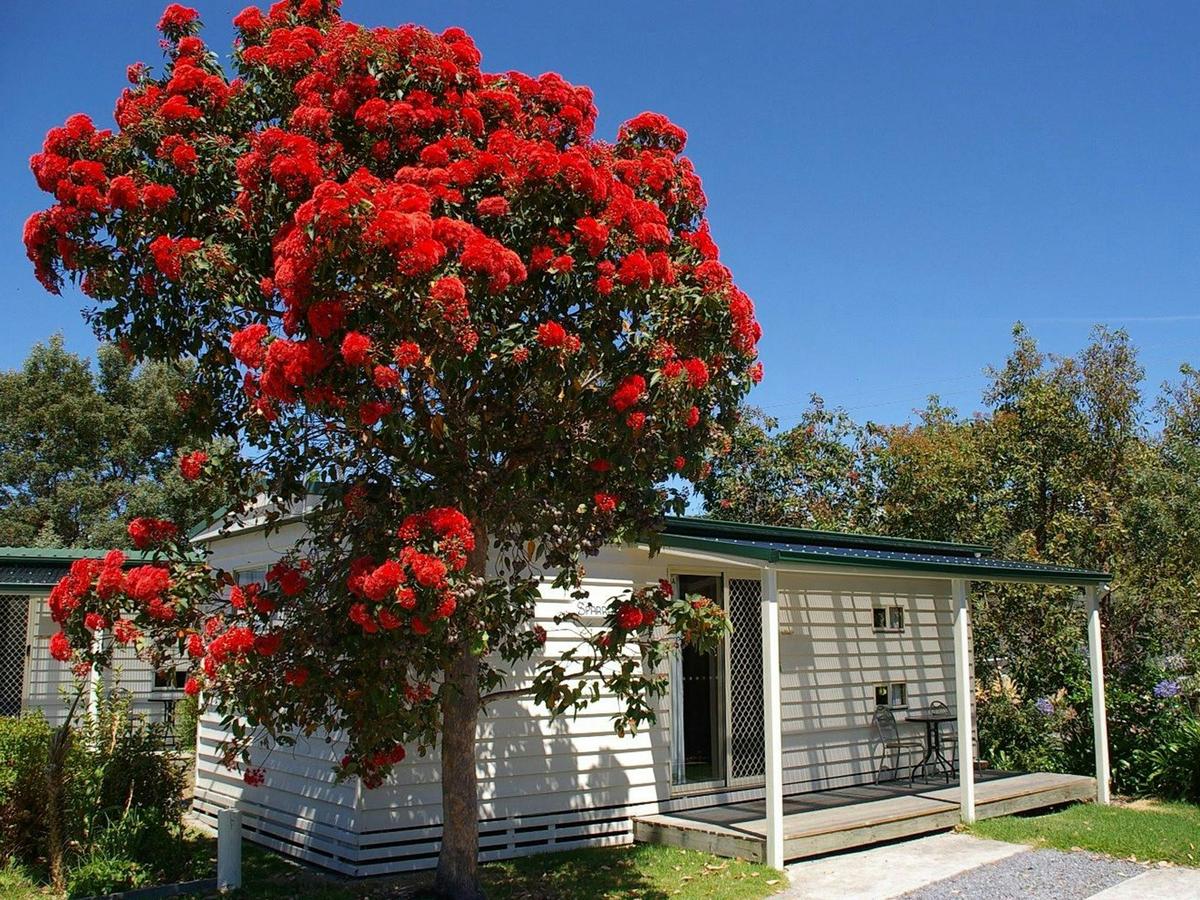 Family accommodation