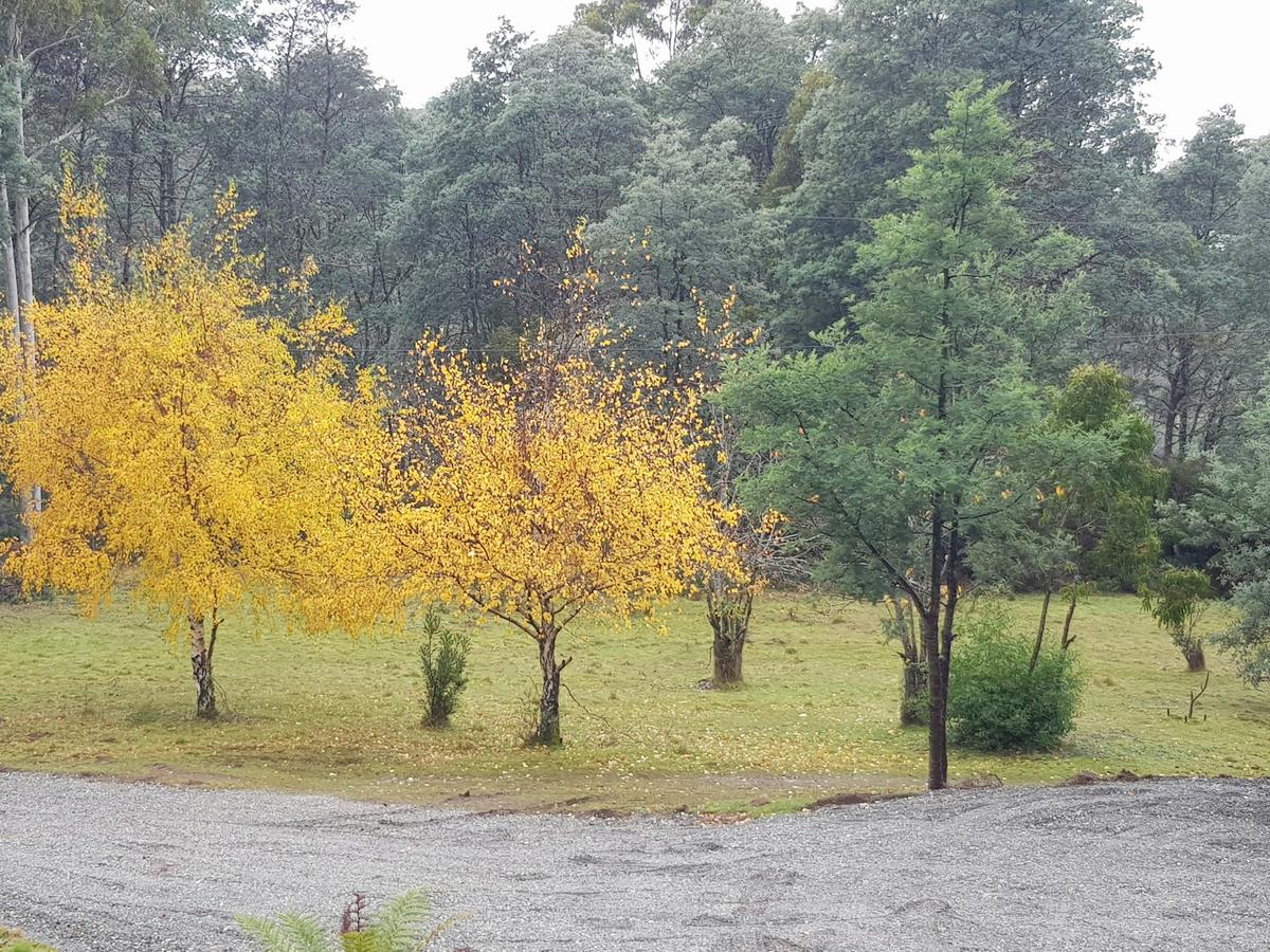 Cradle Alpine Retreat Property