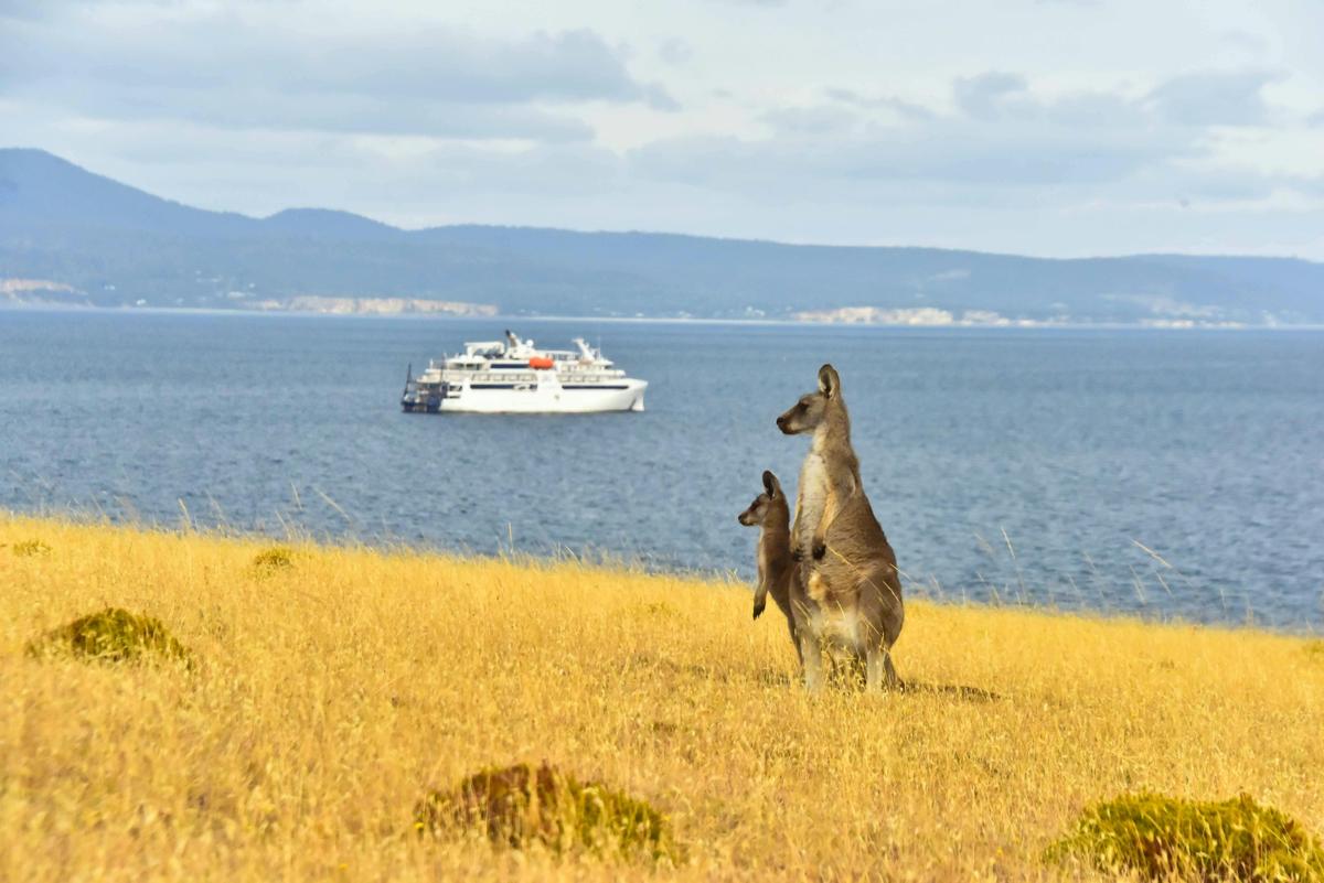 Tasmanian Coastal Discovery