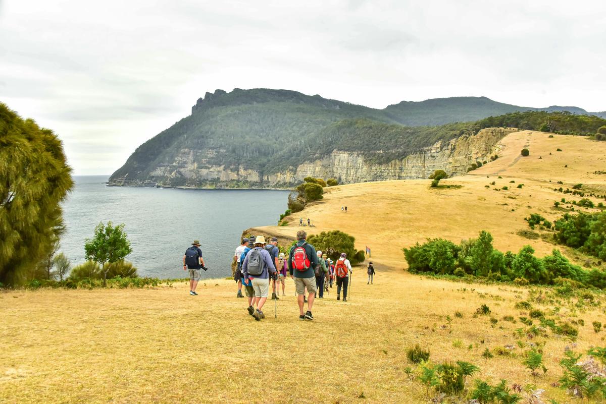 Scenic Walks of Tasmania