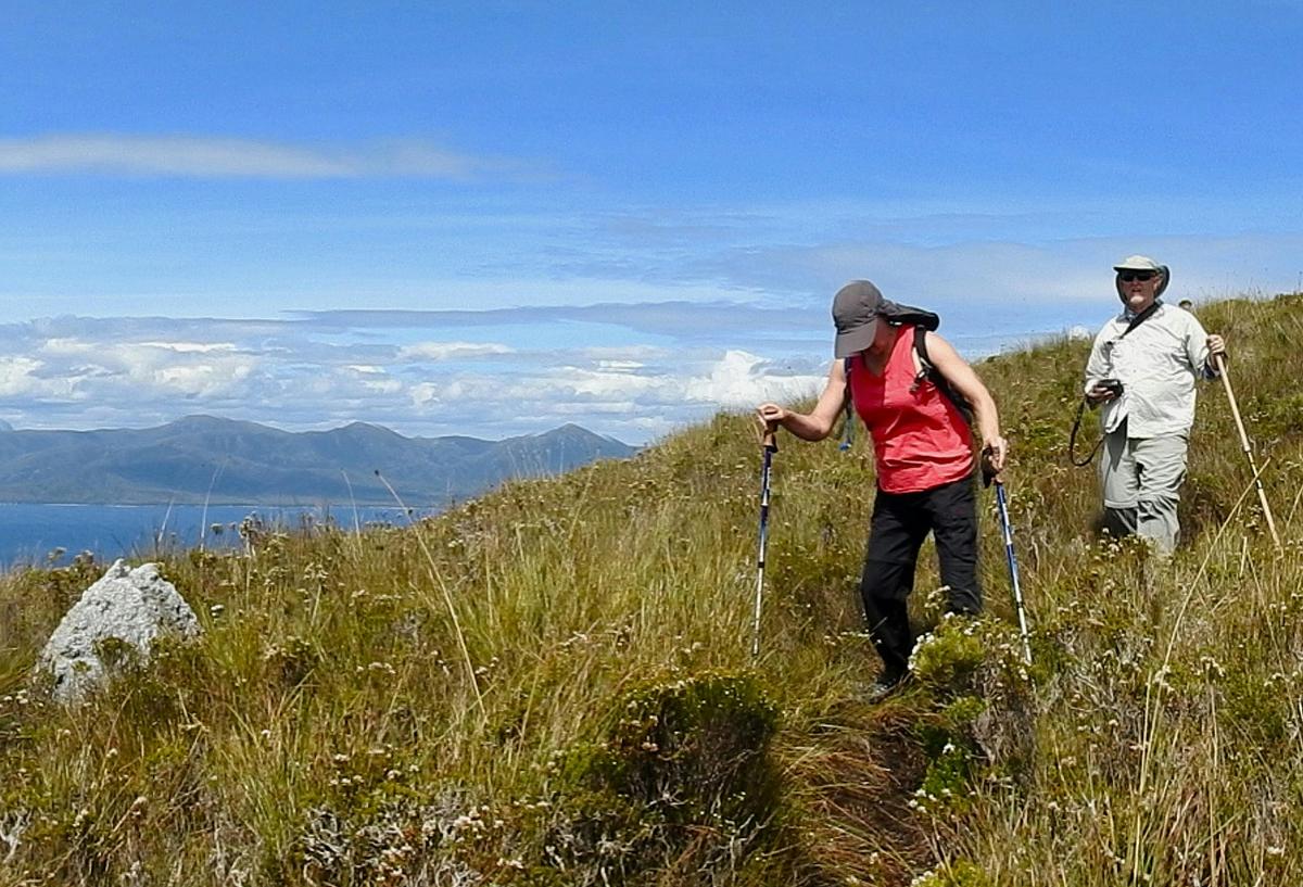 Scenic Walks of Tasmania