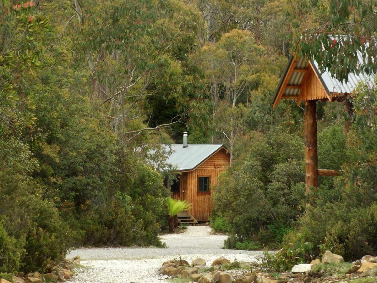 Marsupial Studio Cabin