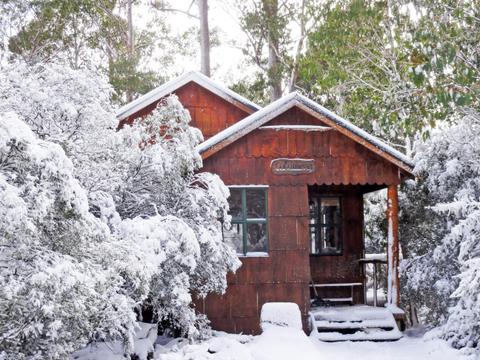 Forest View Two Bedroom -- wood fire