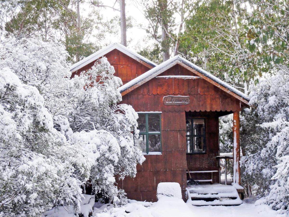 Forest View Two Bedroom -- wood fire