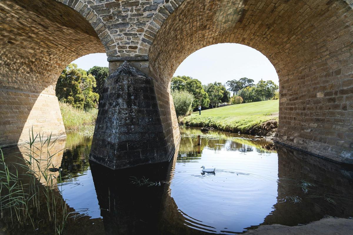 Coal Valley Wine and Gin Safaris