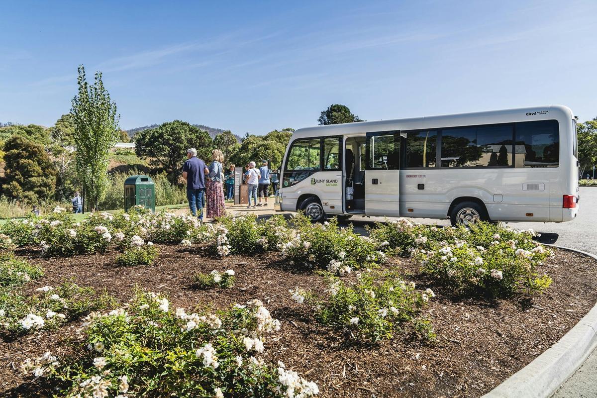 Coal Valley Wine and Gin Safaris