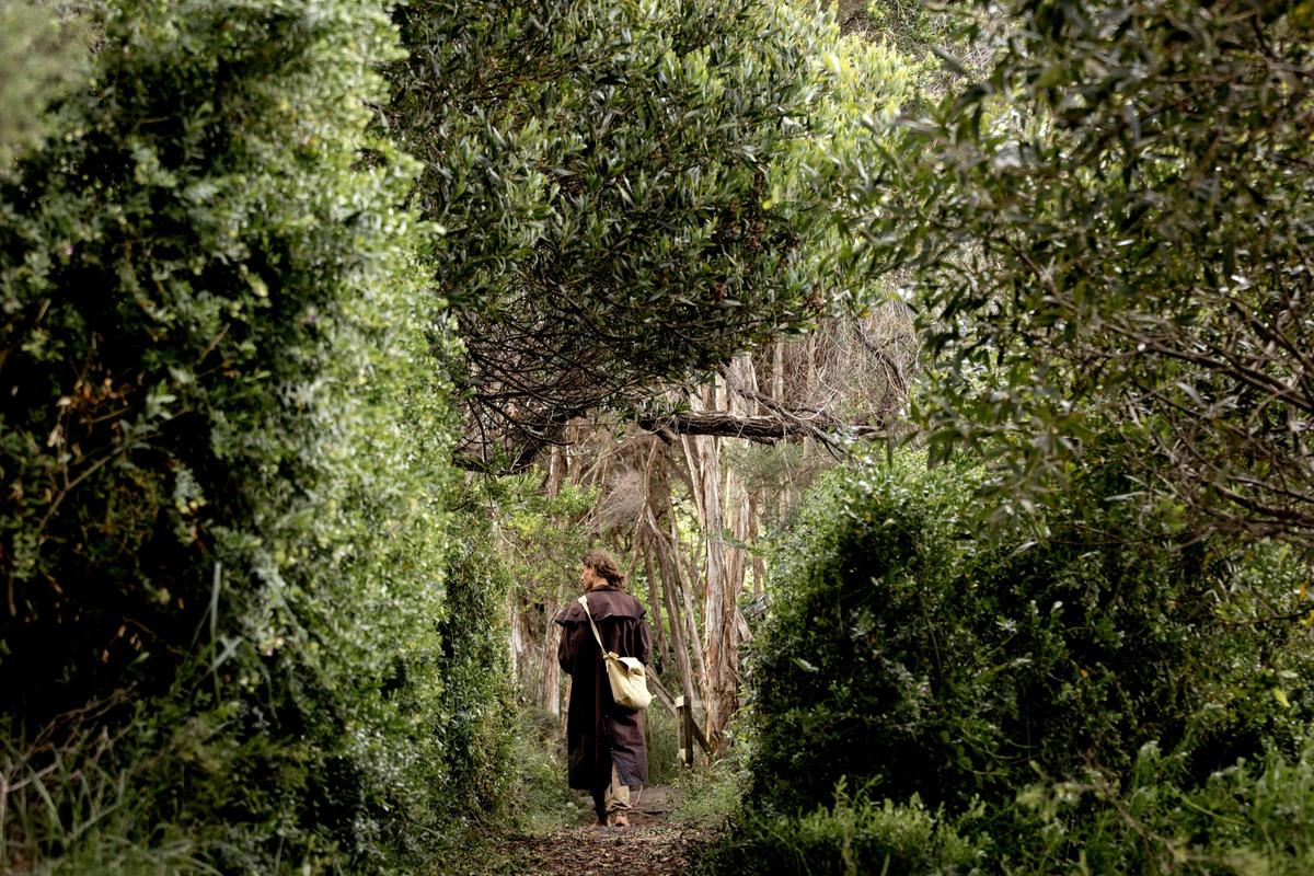 Walk between trees