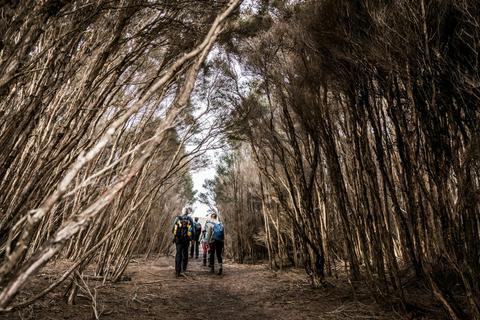 Bird Hide Walk