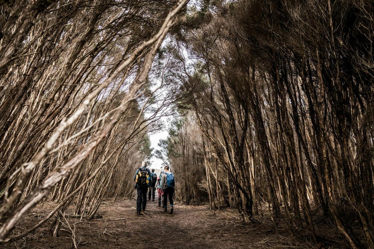 Bird Hide Walk