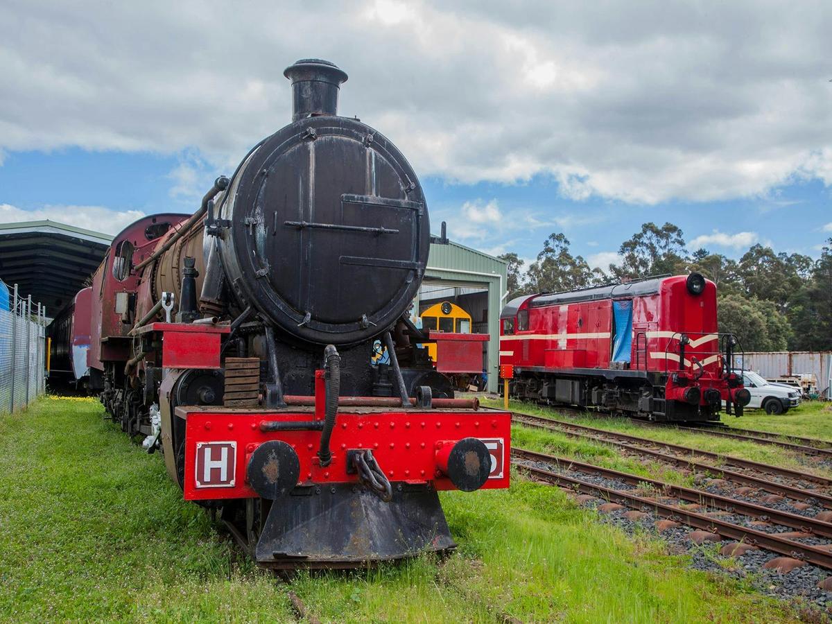 H2 Steam Locomotive