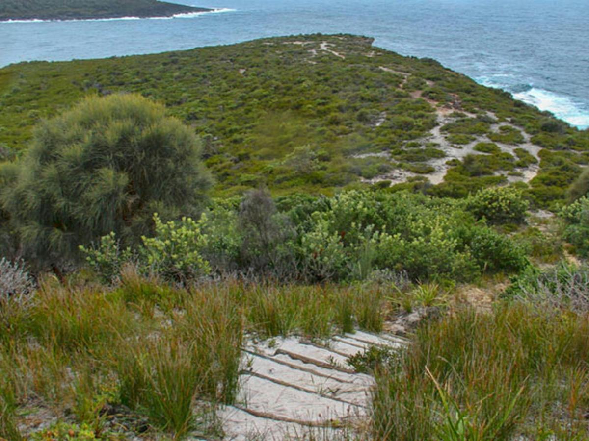 Snapper Point lookout, Murramarang National Park. Photo: John Yurasek &copy; OEH