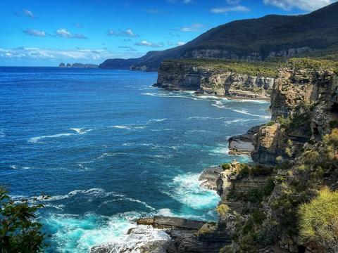 Dear Tasmania
