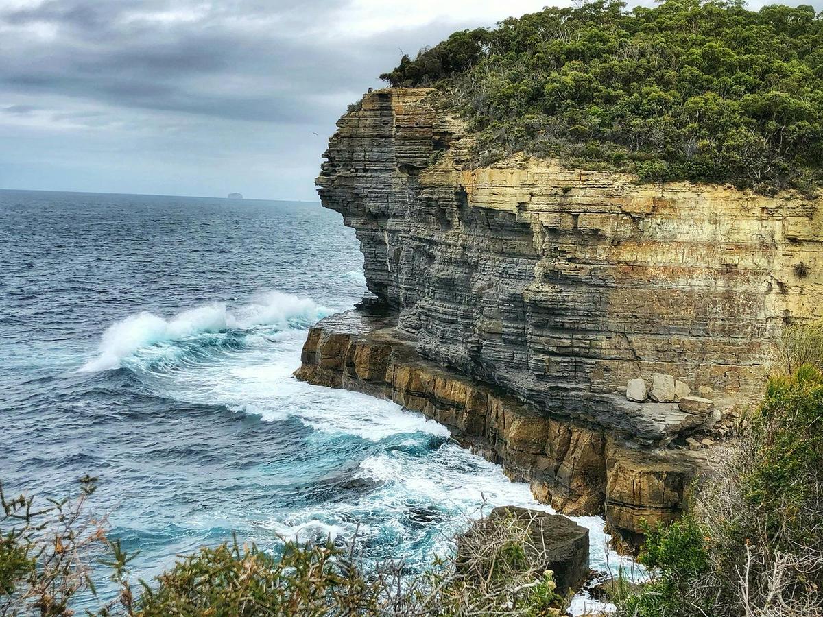 Fossil Bay