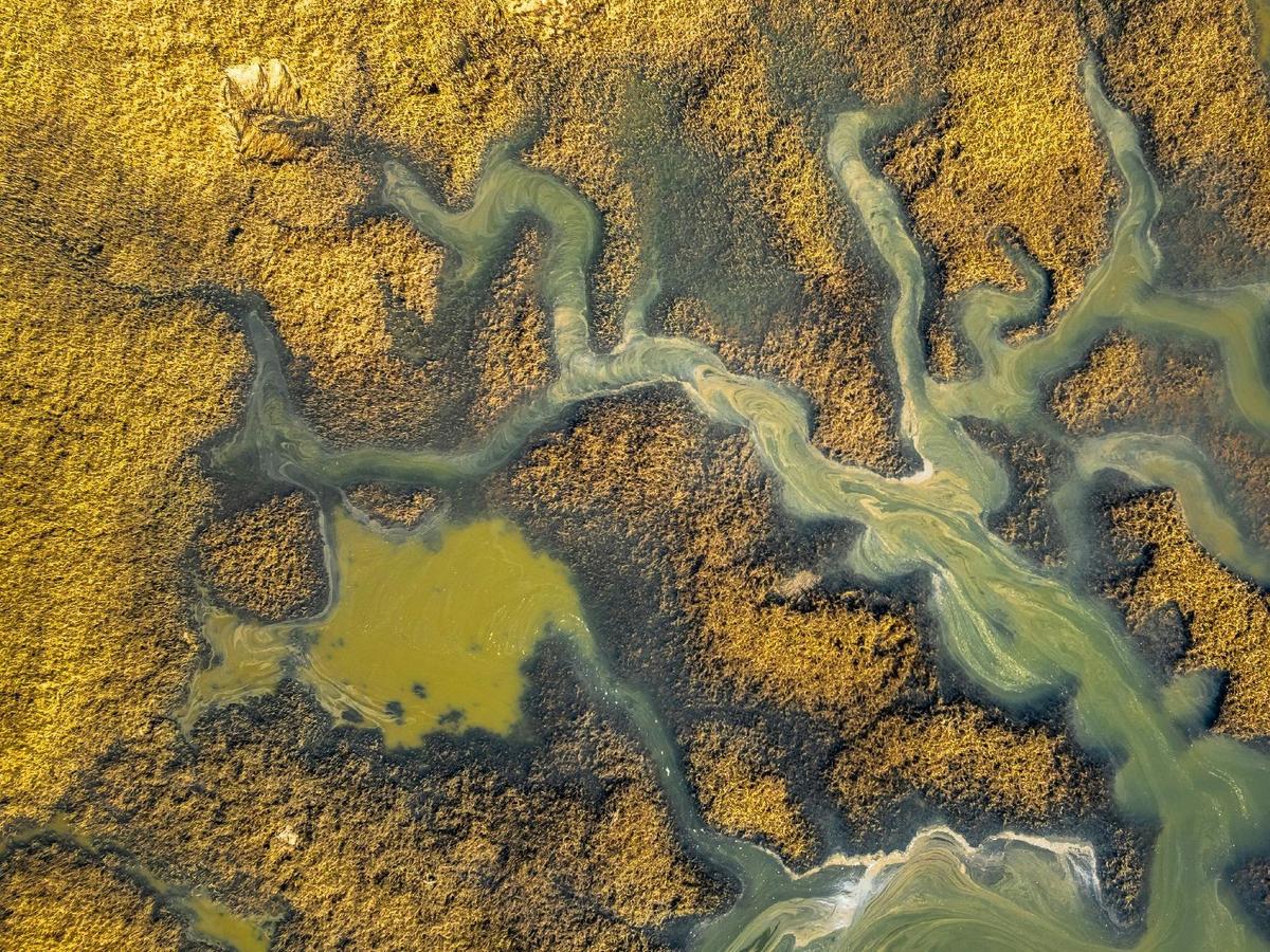 Rubicon River