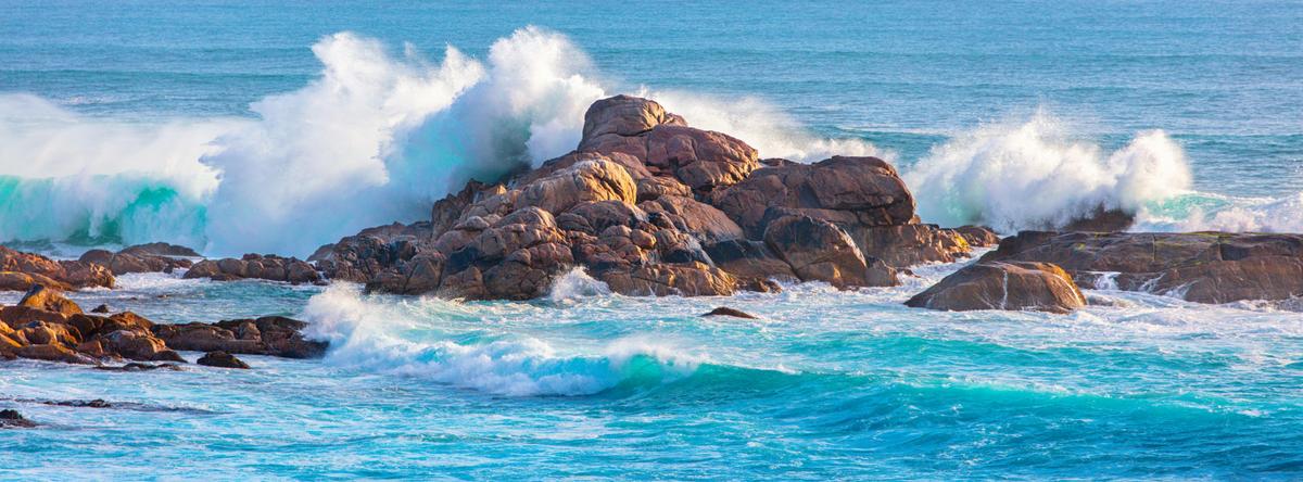The Wave