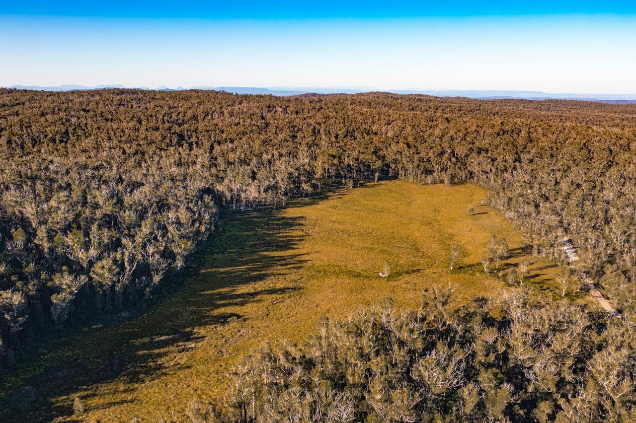 Basket Swamp
