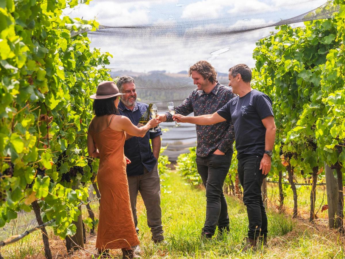 Walk amongst the vines to learn about grape growing and winemaaking