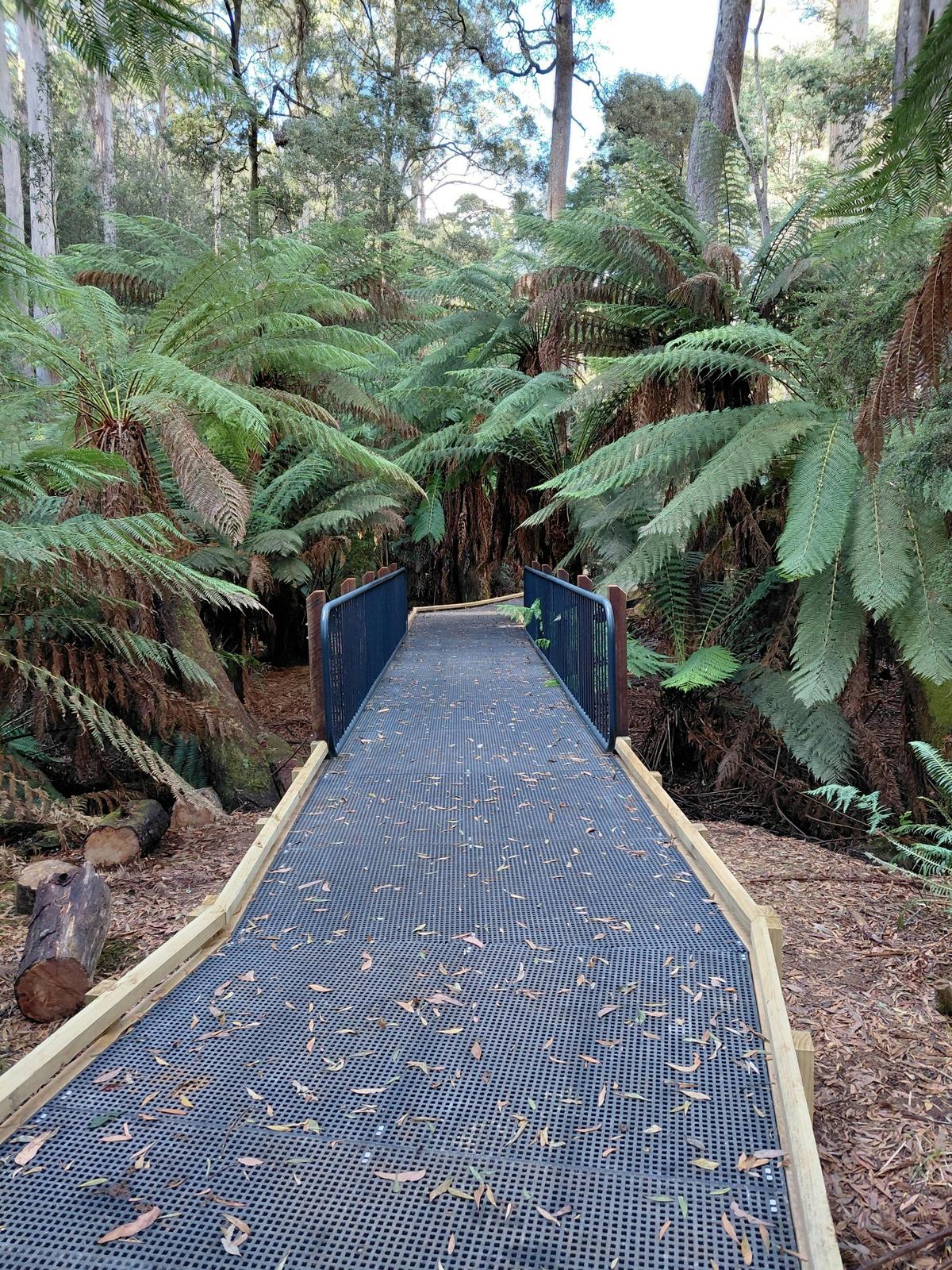 New Track at Ferndene