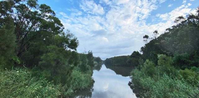 Puckeys Estate Nature Reserve
