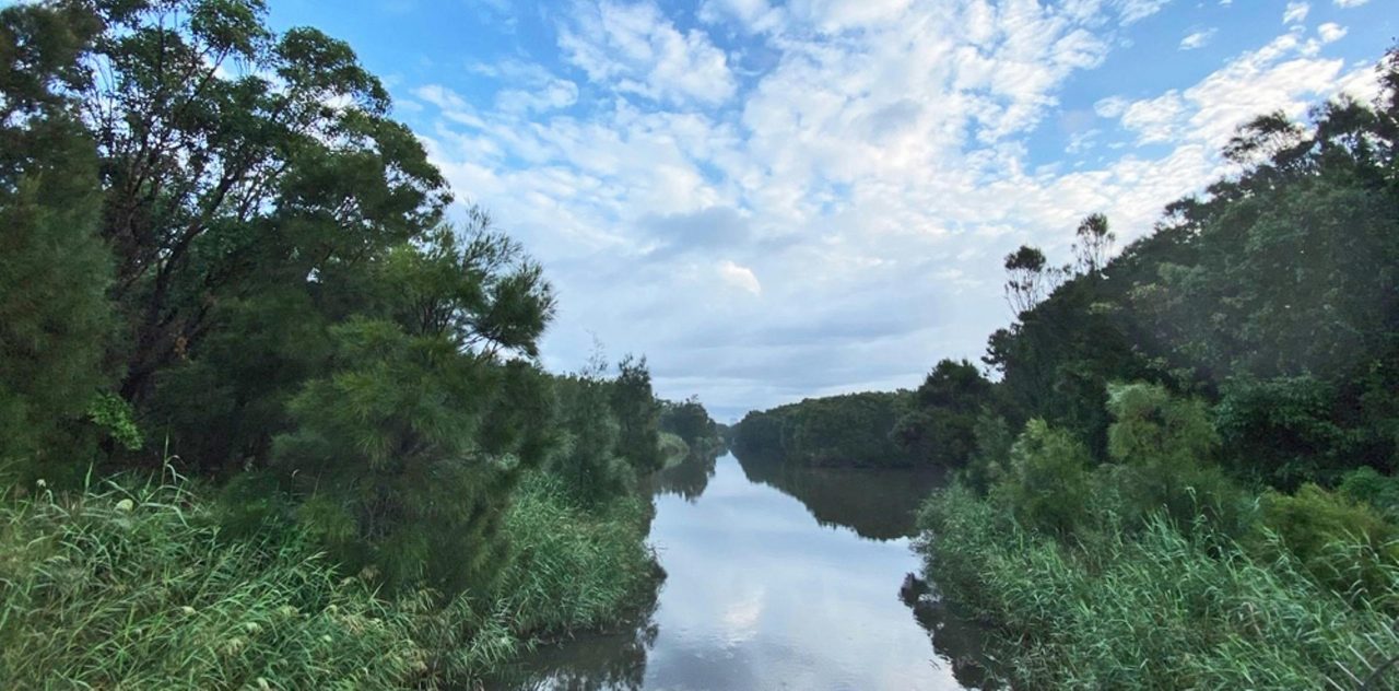River at puckeys