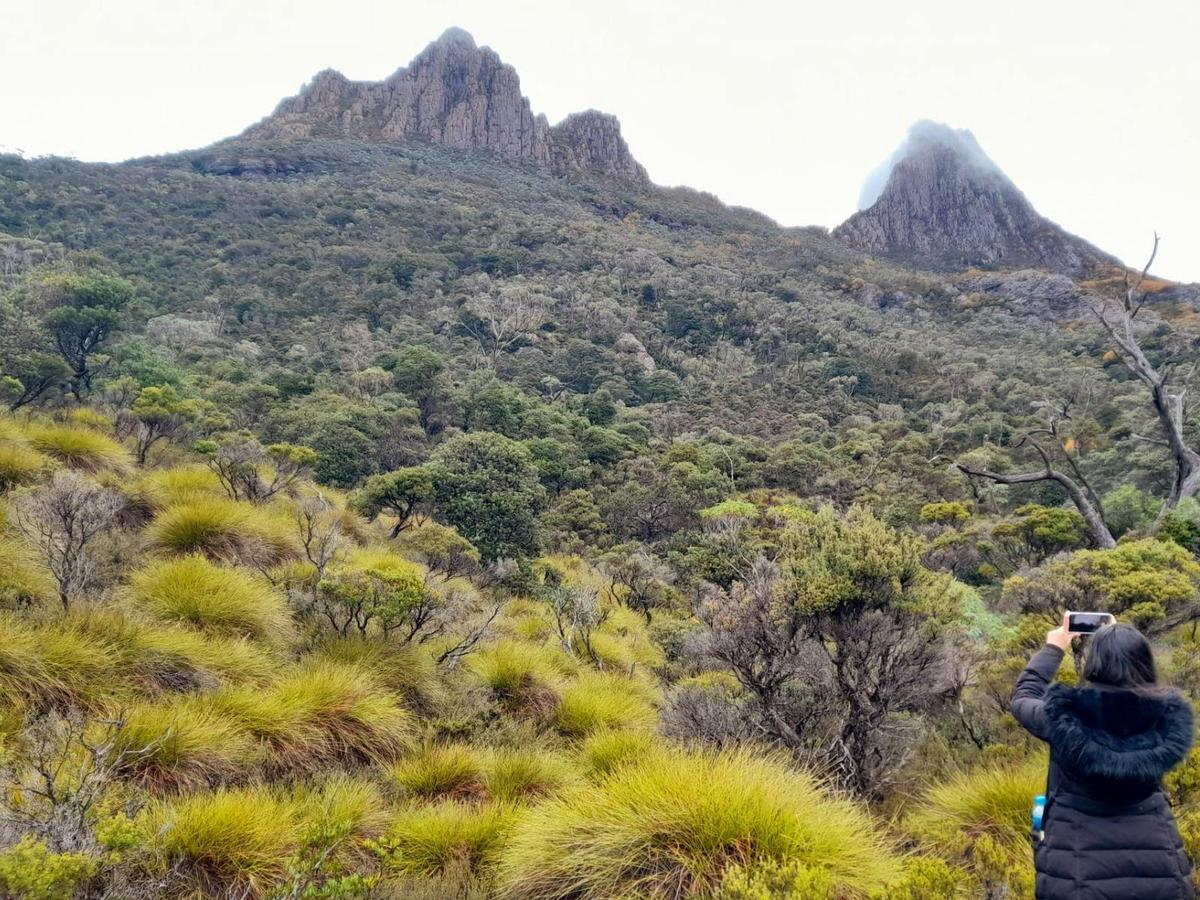 Cradle Mountain: Hobart to Cradle Active Day Trip