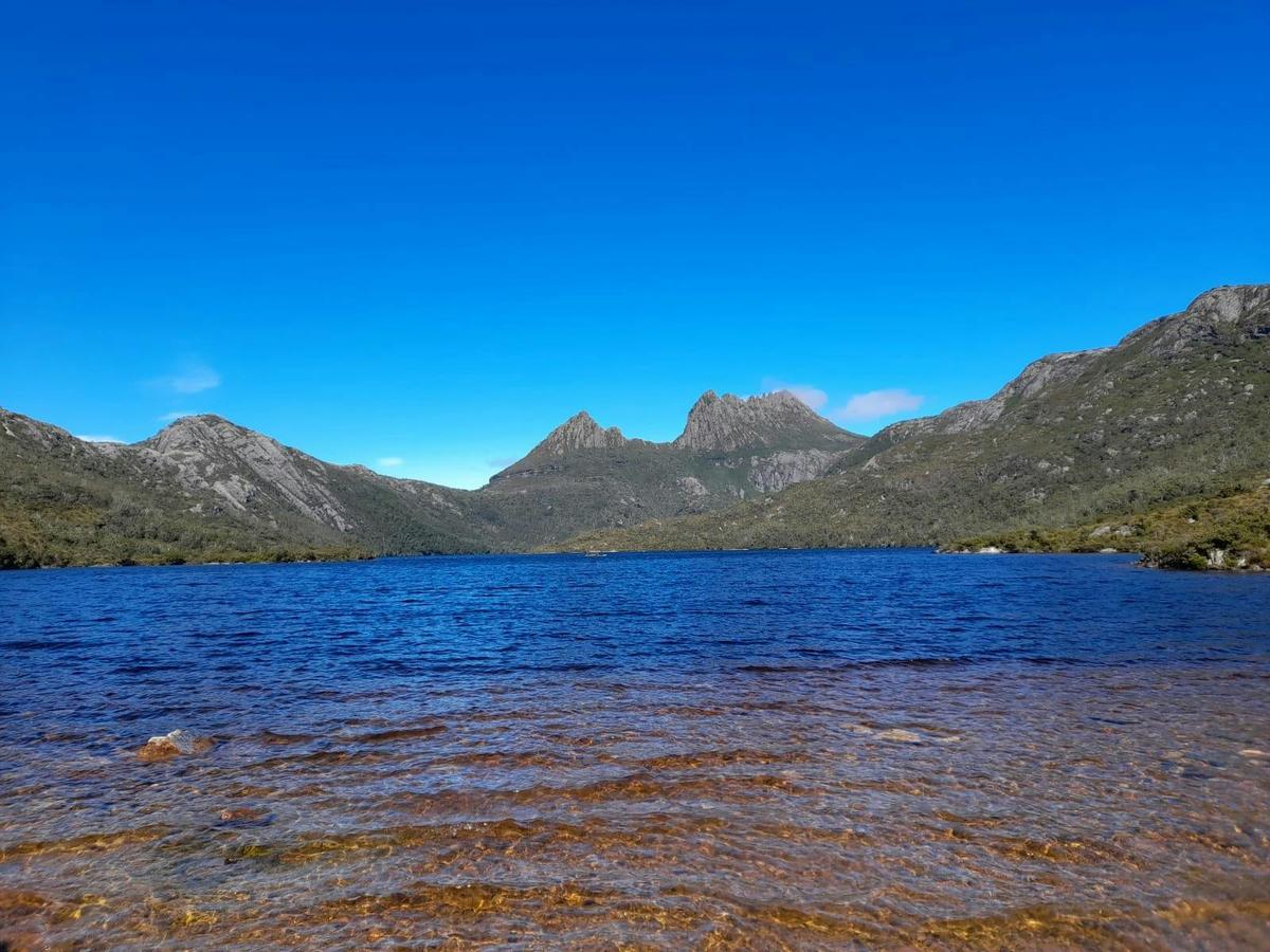 Cradle Mountain: Hobart to Cradle Active Day Trip