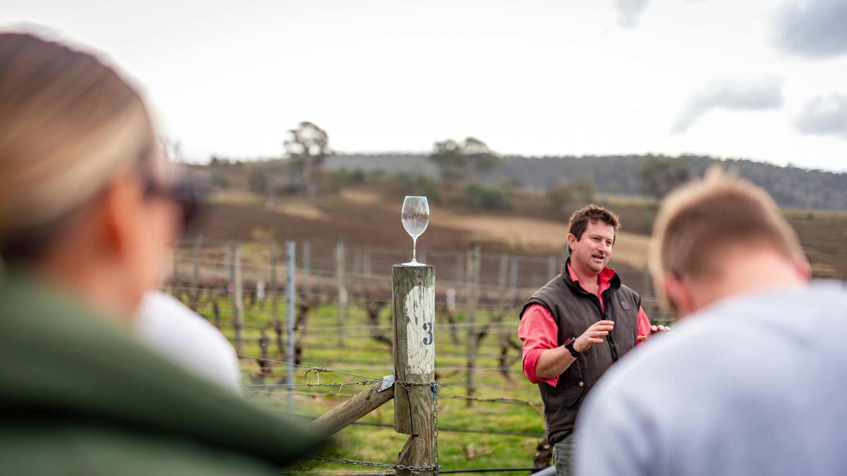 Beyond the Cellar Door Tassie Style