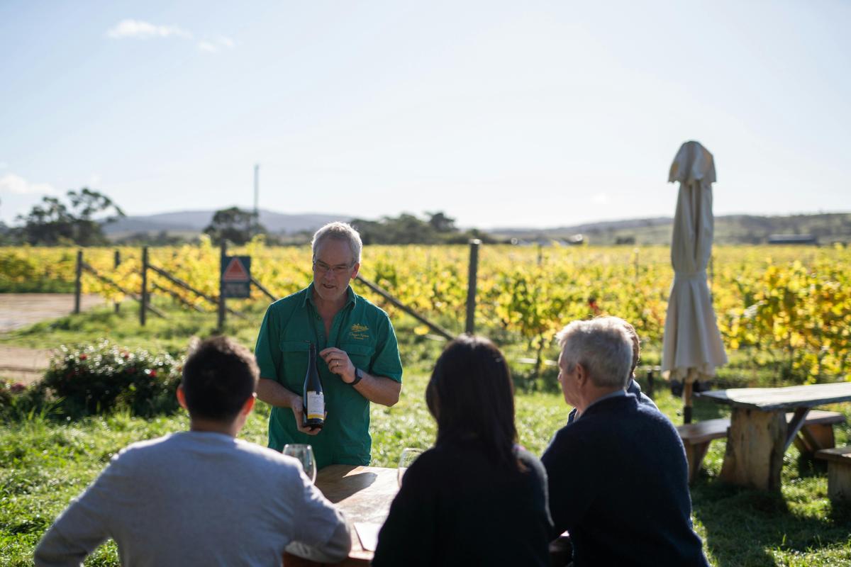 Seated wine tasting is part of the Craigie Knowe experience