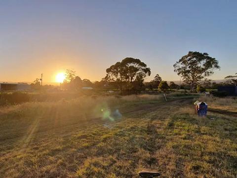 Craigie Knowe Vineyard Camp Ground