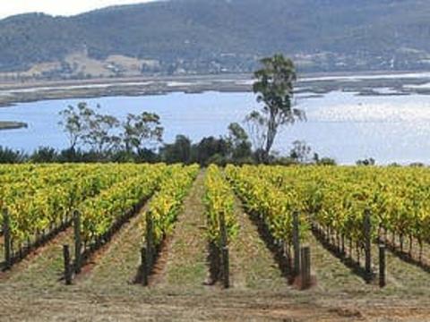 Derwent Estate Wines