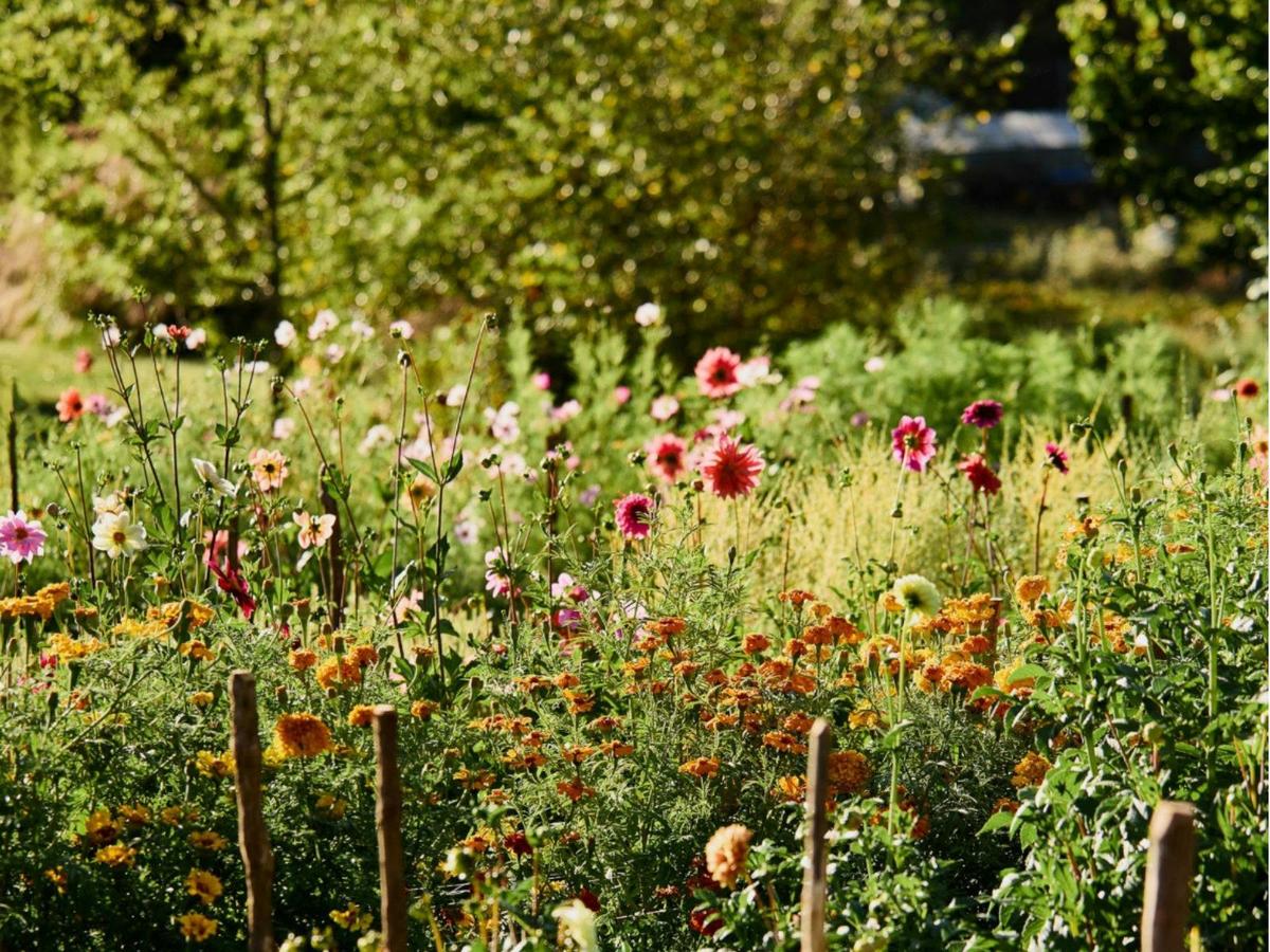 Earthenry Flower farm
