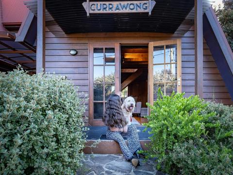 Currawong