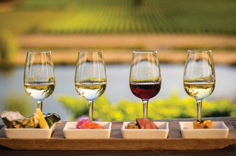 Tamar Valley Vineyards