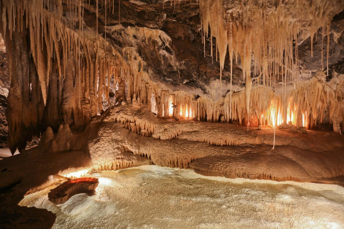 Trowunna Wildlife and Marakoopa Caves