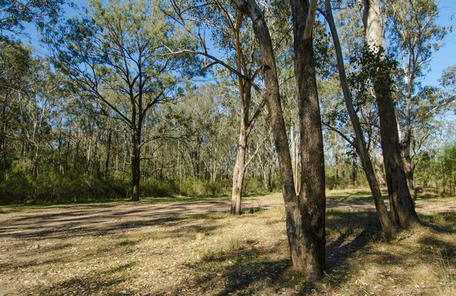 Scheyville Horse Riding Trails