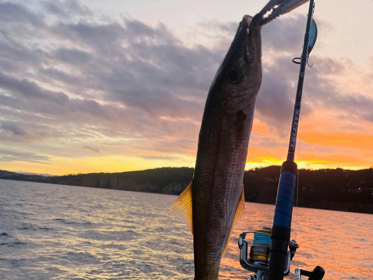 3 Hour Sightseeing Fishing Cruise