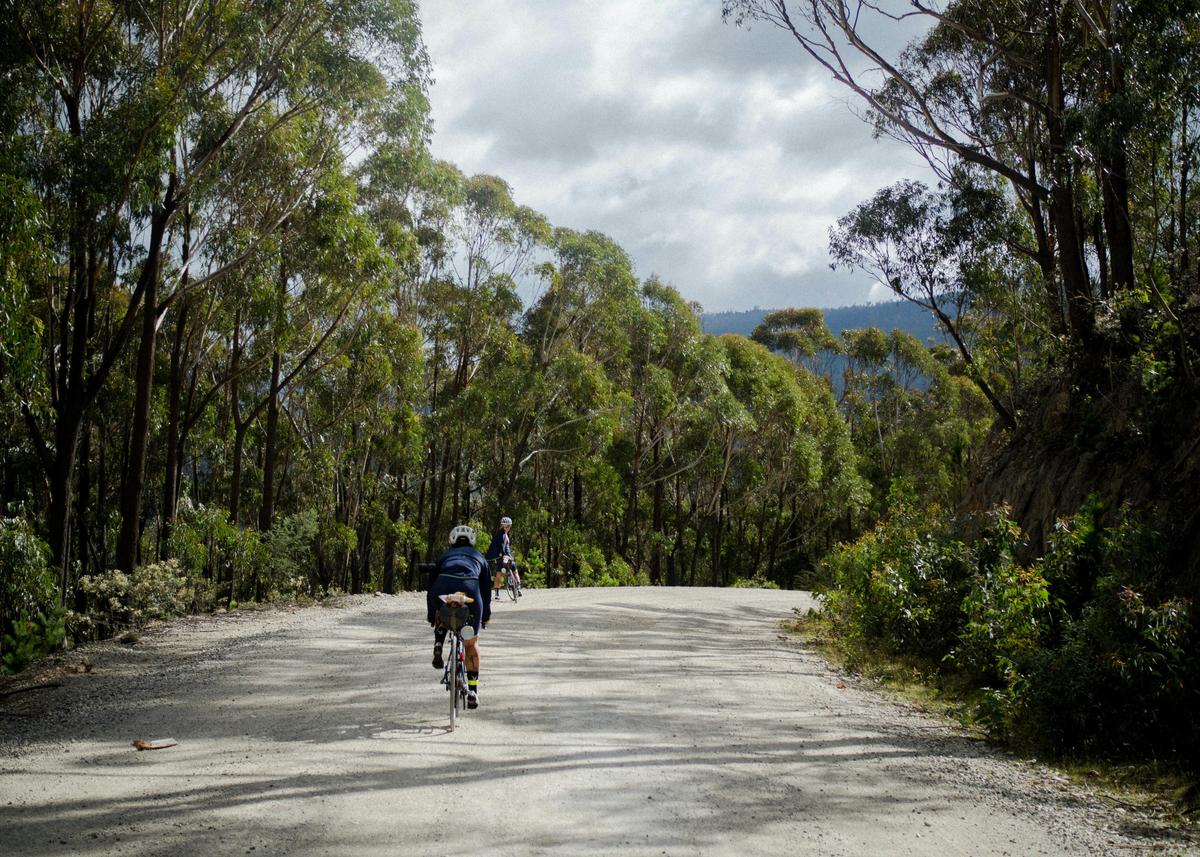 Ultimate Gravel Tour of Tasmania