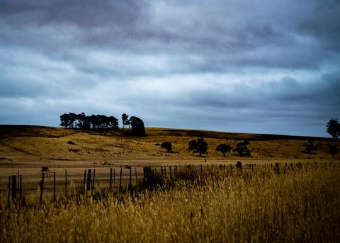 West Coast Tour of Tasmania