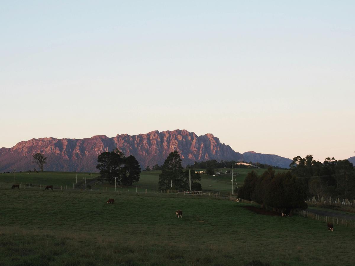 Meander Valley Tour